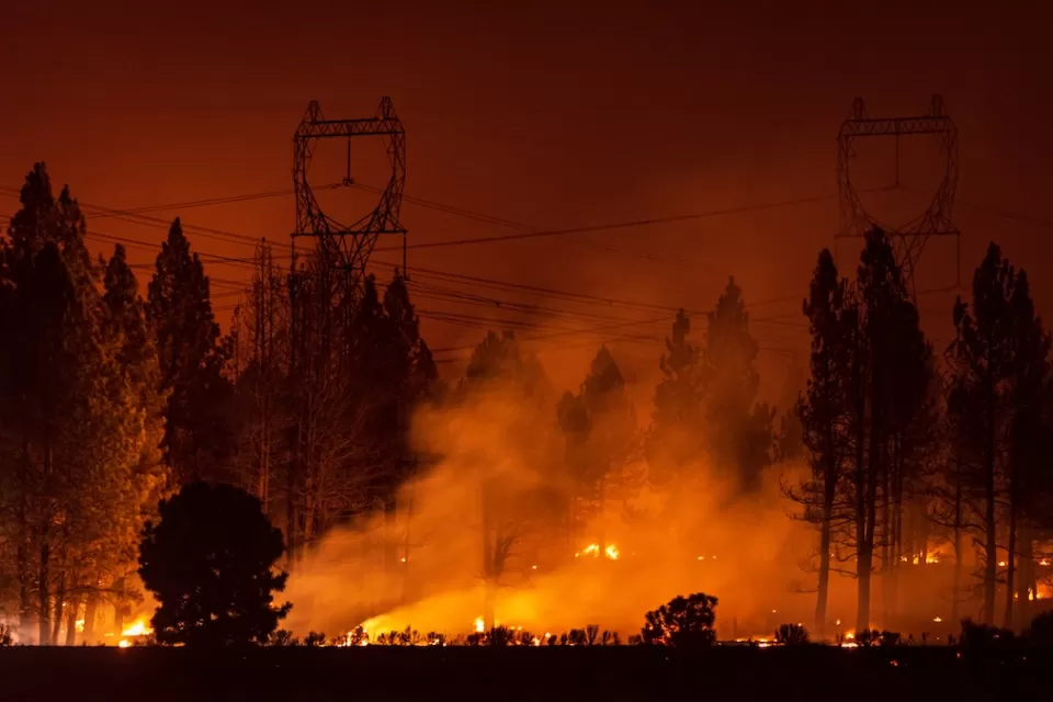 Wildfire burning under power transmission towers and large trees at night.